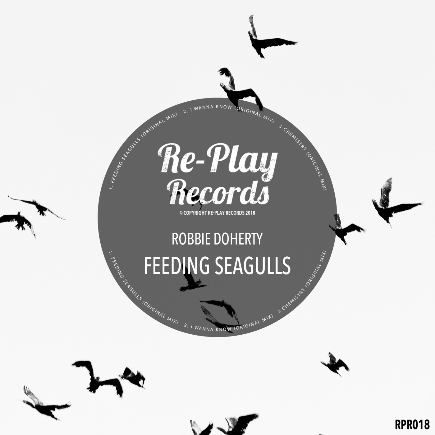 Feeding Seagulls - Single