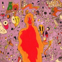 Slowly Burning - Single - Tim Buds