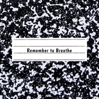 Remember to Breathe (feat. Lorlorsita, BAI & Røssii) - Single - Phoenix King