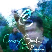 Crazy Soul (feat. ProbCause) - Single - Othersides