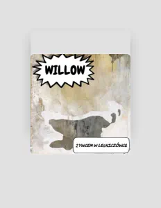 Willowを聴いたり、ミュージックビデオを鑑賞したり、経歴やツアー日程などを確認したりしましょう！