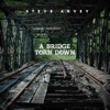 A Bridge Torn Down - Single