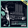 Fight Dub (Dub Machinist Remix) - Roots Zombie