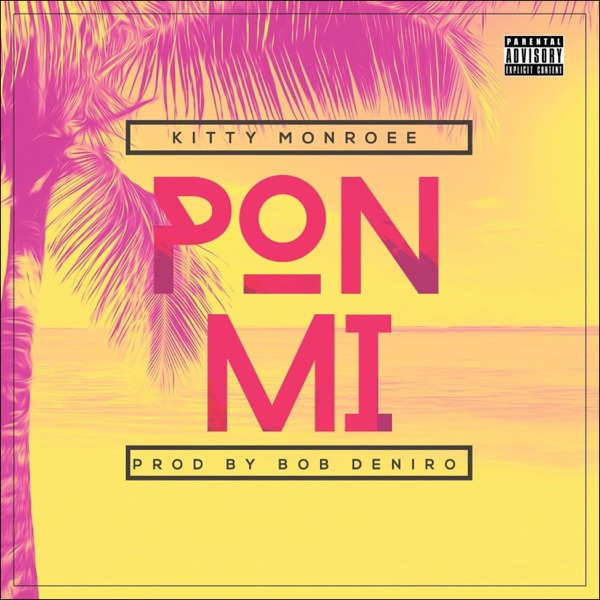 Pon Mi