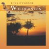 Tony O'Connor - Thoughts From Inside