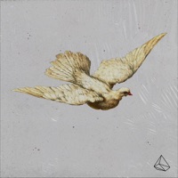 Say Yes - Single - Honors