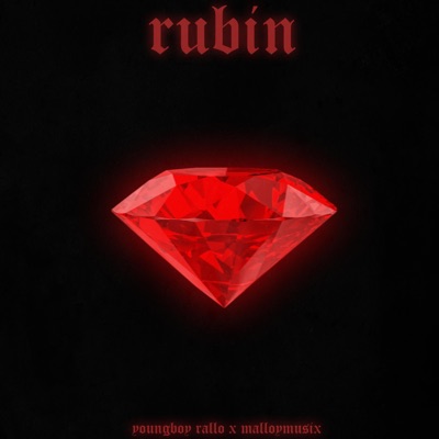 Rubin (feat. MalloyMusix) - Single