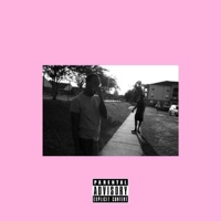 Day by Day (feat. Mook Dook & Taylor Victoria) [Chopped & Screwed] - Single - Svnthltr