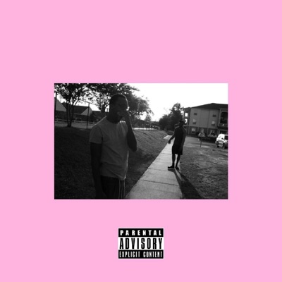 Day by Day (feat. Mook Dook & Taylor Victoria) [Chopped & Screwed] - Single