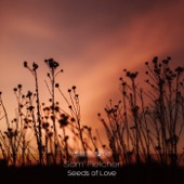 Seeds of Love (Piano Mix) artwork