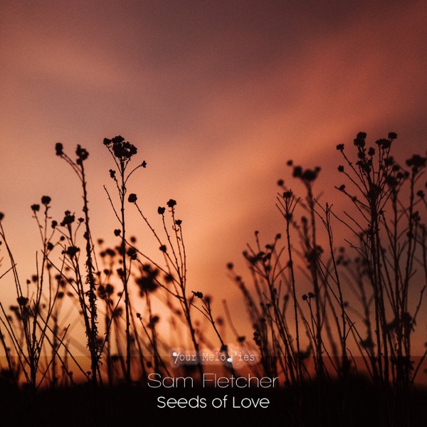 Seeds of Love - Single