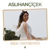 Aslıhan Çiçek - Unutacağım Seni