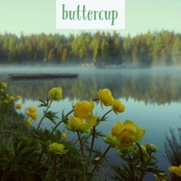 Buttercup (feat. Dsciple) - Single - CuDi Dales