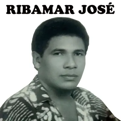 Brigas de Amor - Single - Ribamar Jose