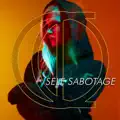 Self Sabotage