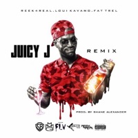 Juicy J (feat. Fat Trel) [Remix] - Single - Reek4Real