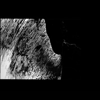 I Will Always Be Surrounded - Single - Sink600