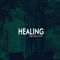 Healing (feat. Briana Jasso) - Jordan May lyrics