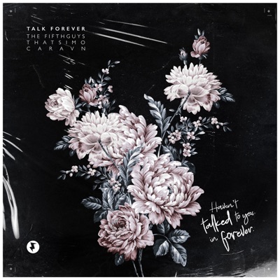 Talk Forever - Single