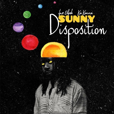 Sunny Disposition (feat. Kai Kannai) - Single