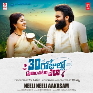 Neeli Neeli Aakasam (From 