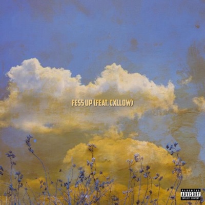 Fess Up (feat. Cxllow) - Single