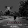 Temporary - Single