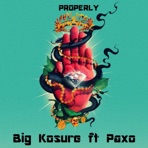 Properly (feat. P@xzo) - Single