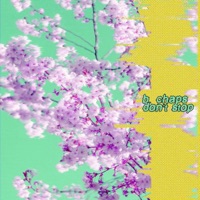Don't Stop - Single - B. Chaps