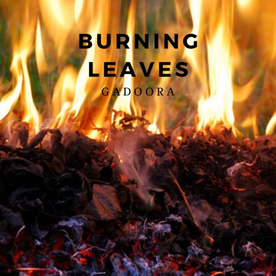 Burning Leaves - Single