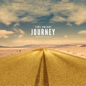 Tobe Nwigwe - JOURNEY