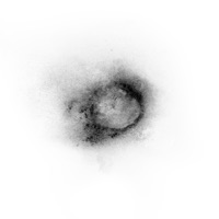 Återvända - Peter Sandberg