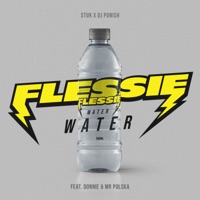 Flessie Water (feat. Donnie & Mr. Polska) - Single - STUK & Dj Punish