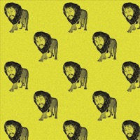 Album cover for Kapo by Laughing Gas