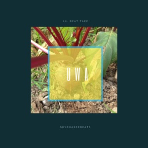 Lil Beat Tape: OWA