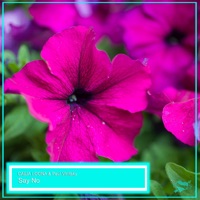 Say No - Single - САША LOONA & Paul Vinitsky