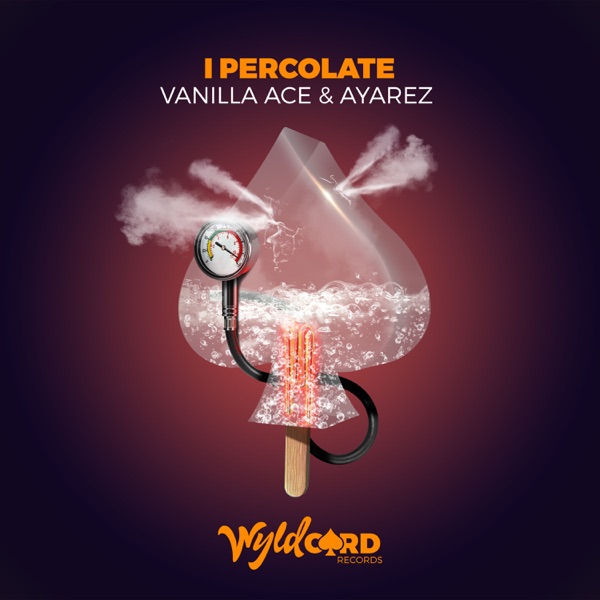 I Percolate - Single