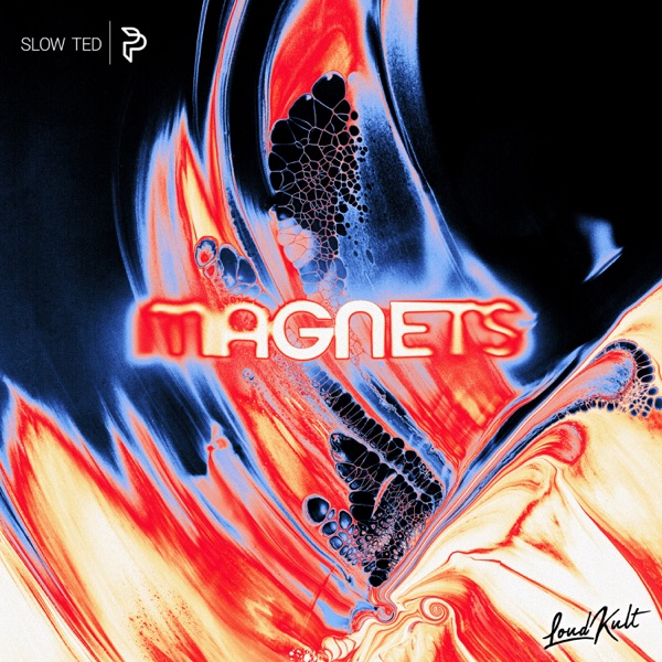 Magnets - Single