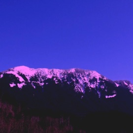 Train to Ny Angry Apple