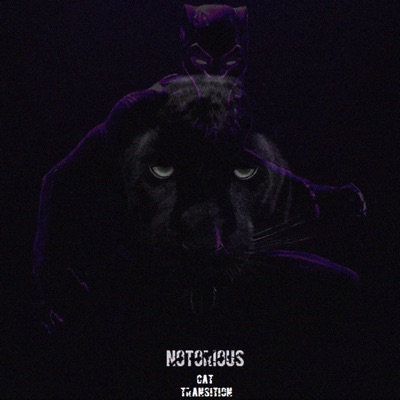 Notorious (Cat Transition) - Single