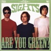 Are You Green? artwork