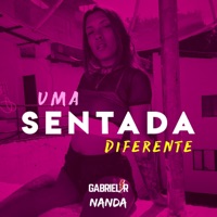 Uma Sentada Diferente - Single - Dj Gabriel R & Nanda