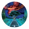 Color Dialog (Mangabey Remix) cover art