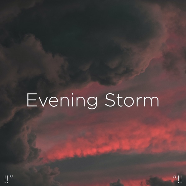 !!" Evening Storm "!!