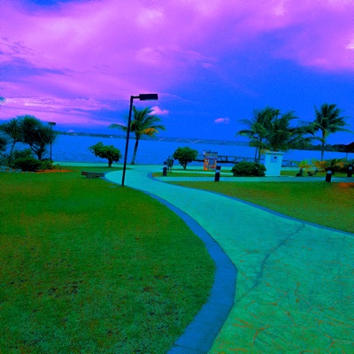 W I S H (feat. LVeloz) - Single