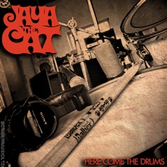 Here Come the Drums - Single