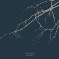 Interlude - Single - Shai-li Paldi