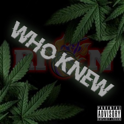 Who Knew - Single