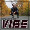 Calvin Shock - Vibe artwork