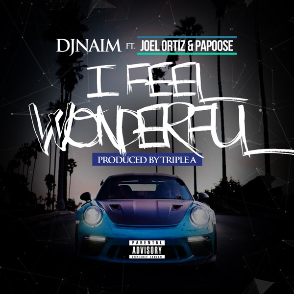 I Feel Wonderful (feat. Joel Ortiz & Papoose) - Single album cover